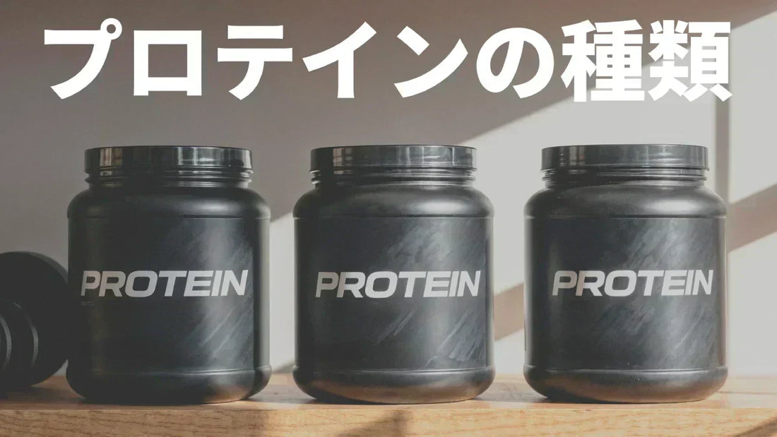 プロテインの種類完全ガイド:WPC、WPI、ソイ、エッグ、カゼインの違いと選び方
