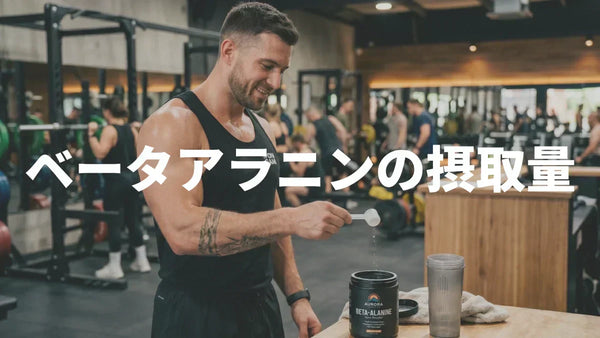 ベータアラニンの摂取量｜1日何g・いつ・何週間？ローディング不要を解説