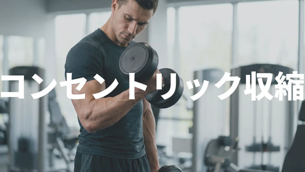 コンセントリック収縮とは？意味・メリット・トレーニングでの活かし方