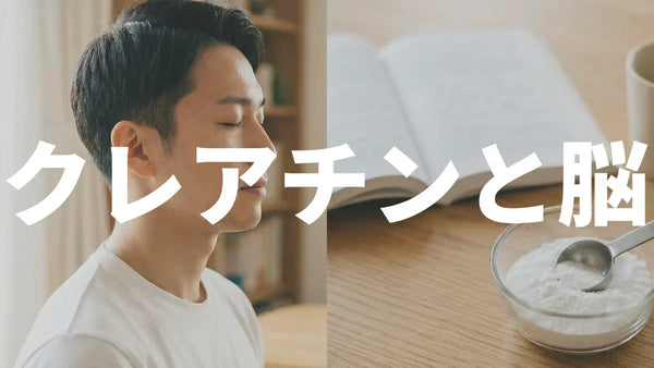 クレアチンは脳にも効く？記憶・睡眠不足・うつへの効果を研究で検証