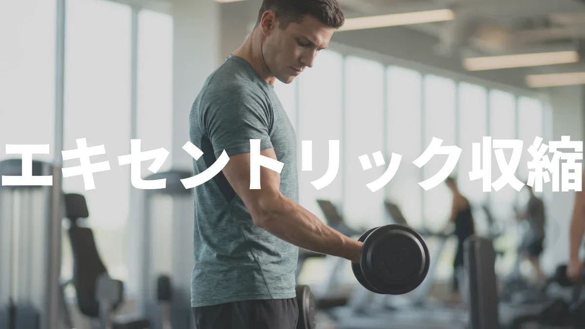エキセントリック収縮とは？筋肥大・パフォーマンス向上のカギになる「伸ばす力」を解説