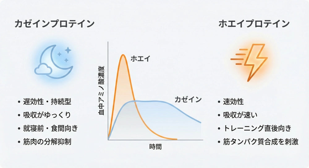 ホエイ・カゼインの比較