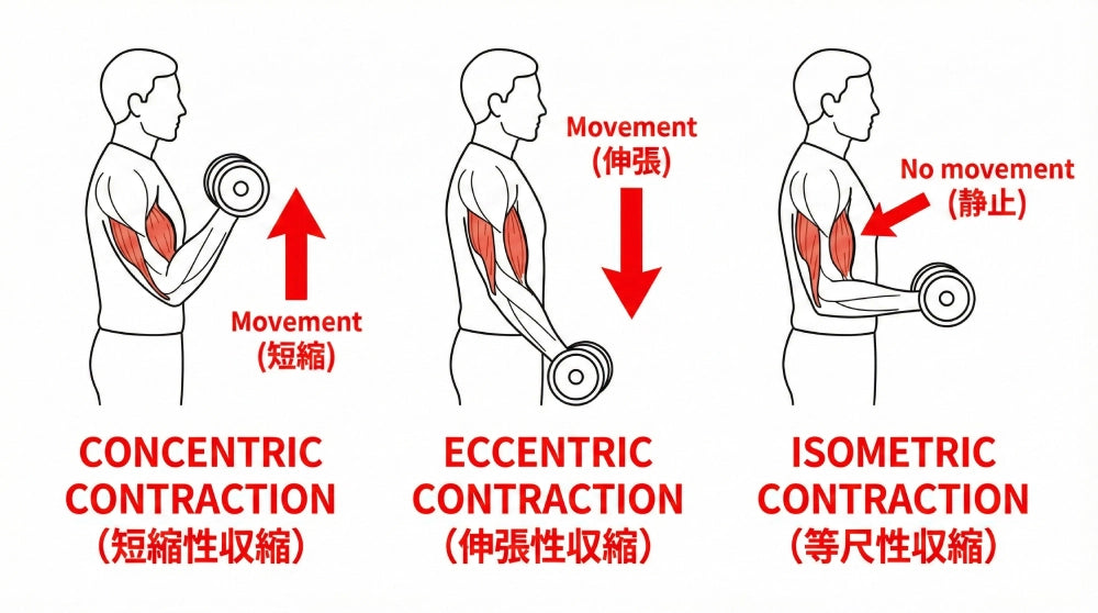 セントリックの意味とは?急増の理由とエキセントリックとの違いを徹底解剖