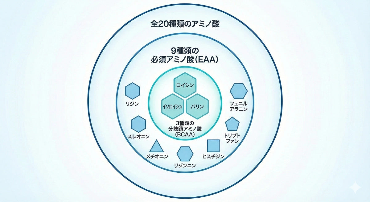 EAAとBCAAの違い