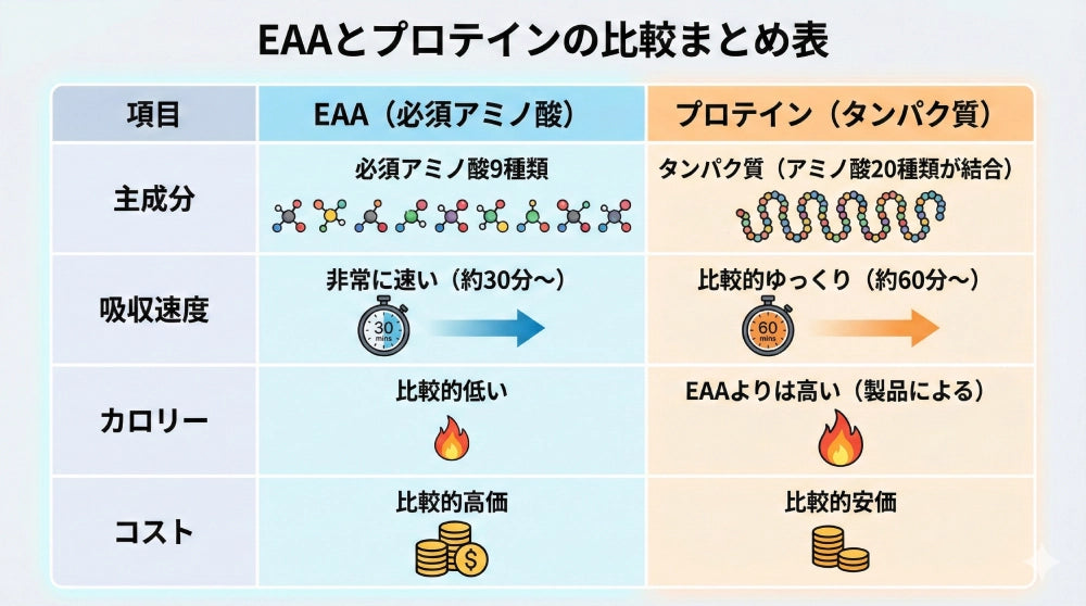 EAAとプロテインの決定的な違い